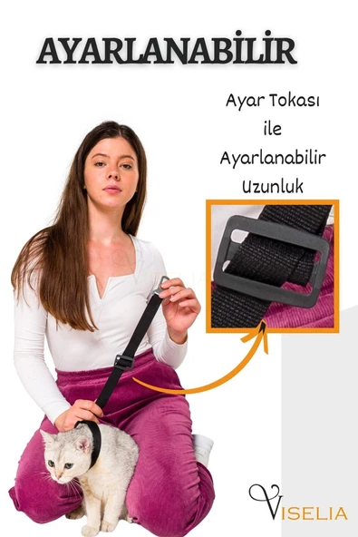 Viselia Evcil Hayvan Emniyet Kemeri Kedi Köpek Tasma Köpek Araç Kemeri - Resim 3