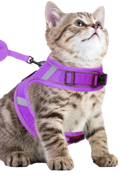 Pandogo Kedi Tasması Göğüs Gezdirme Tasması Uzun Sevk Kayışlı Mor M Beden ürün görseli