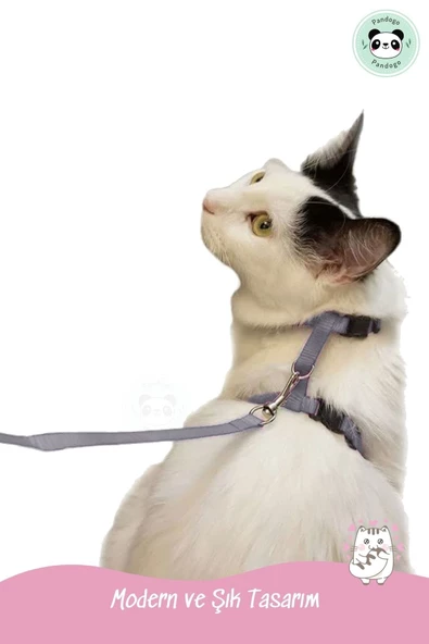 Pandogo Kedi Köpek Tasması Ayarlanabilir Bedenli Kaçış Önleyici Tasarım Sevk Kayışlı Model - Resim 7