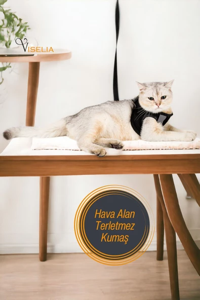Viselia Siyah Kedi Tasması S Beden Sevk Kayışlı Terletmeyen Nefes Alan Reflektörlü Paris - Resim 5