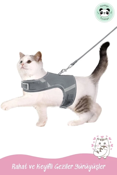 Pandogo Kedi Tasması Göğüs Gezdirme Tasması Uzun Sevk Kayışlı Gri M Beden - Resim 7