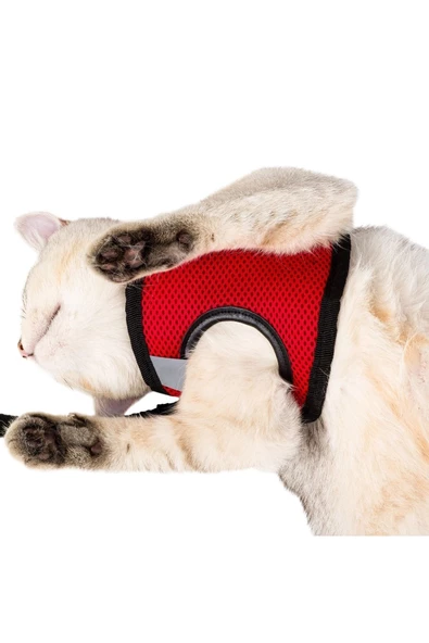 Evene Kedi Tasması Kedi Gezdirme Tasması Kedi Göğüs Tasması Model 1 L Beden Kırmızı Tasma ürün görseli