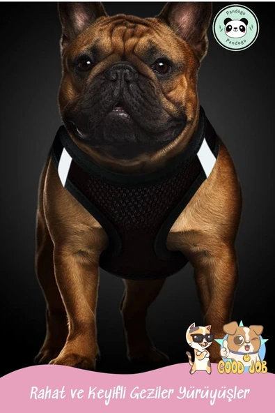 Pandogo Kedi Köpek Tasması Reflektörlü Fileli Hava Alan Kumaş Sevk Kayışlı Kedi Gezdirme Tasması Gri L - Resim 7