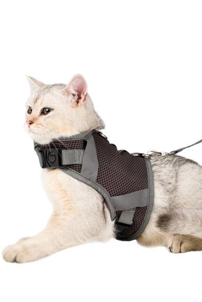 Evene Kedi Tasması Göğüs Boyun Tasma Seti Sevk Kayışlı Terletmeyen Nefes Alan Reflektörlü Tasma S Gri ürün görseli