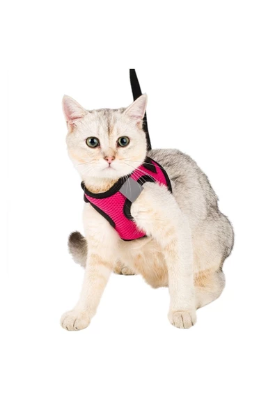 Evene Pembe Kedi Tasması L Beden Göğüs Boyun Tasma Seti Sevk Kayışlı Terletmeyen Nefes Alan Reflektör ürün görseli