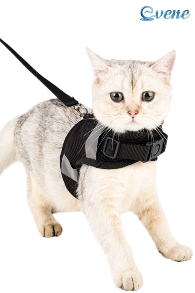 Evene Kedi Tasması Göğüs Boyun Tasma Seti Sevk Kayışlı Terletmeyen Nefes Alan Reflektörlü Tasma L Siyah ürün görseli