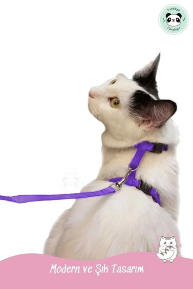 Pandogo Kedi Köpek Tasması Ayarlanabilir Bedenli Kaçış Önleyici Tasarım Sevk Kayışlı Model Mor - 6