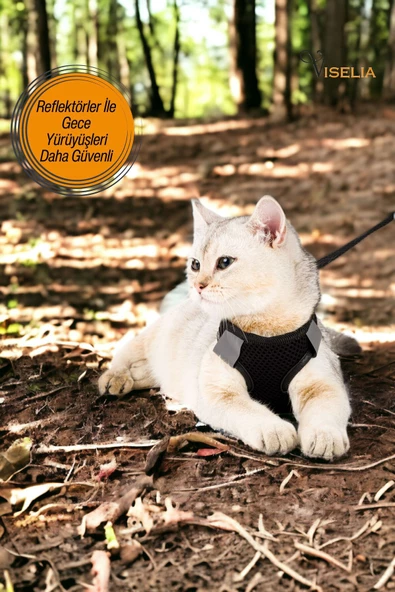 Viselia Siyah Kedi Tasması S Beden Sevk Kayışlı Terletmeyen Nefes Alan Reflektörlü Paris - Resim 6