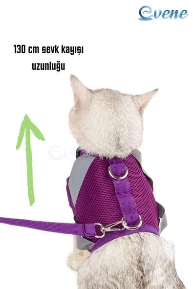 Evene Kedi Tasması Göğüs Boyun Tasma Seti Sevk Kayışlı Terletmeyen Nefes Alan Reflektörlü Tasma L Mor - 8