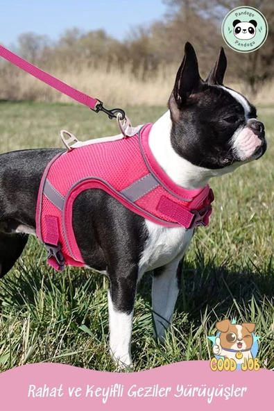 Pandogo Kedi Tasması Göğüs Gezdirme Tasması Uzun Sevk Kayışlı Pembe S Beden - Resim 8