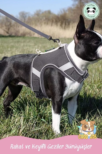 Pandogo Kedi Tasması Göğüs Gezdirme Tasması Uzun Sevk Kayışlı Gri M Beden - Resim 8