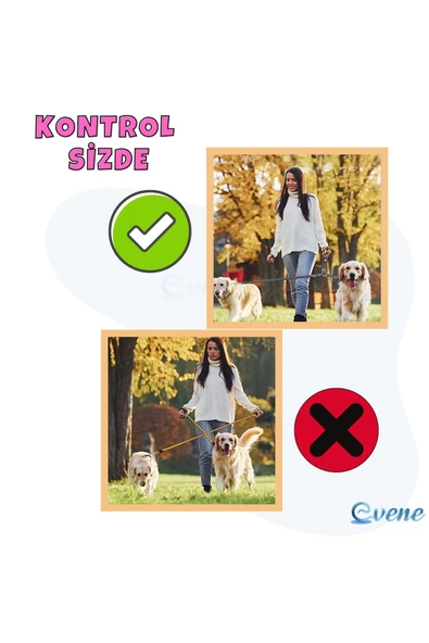 Pandogo Kedi Köpek Çiftli Gezdirme Tasması Pembe Çoklu Tasma Premium Kalite Model Amsterdam - 6