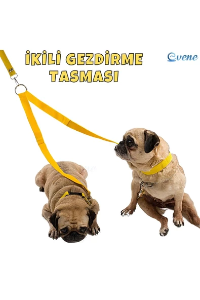 Pandogo Kedi Köpek Çiftli Gezdirme Tasması Sarı Çoklu Tasma Premium Kalite Model Amsterdam - Resim 2