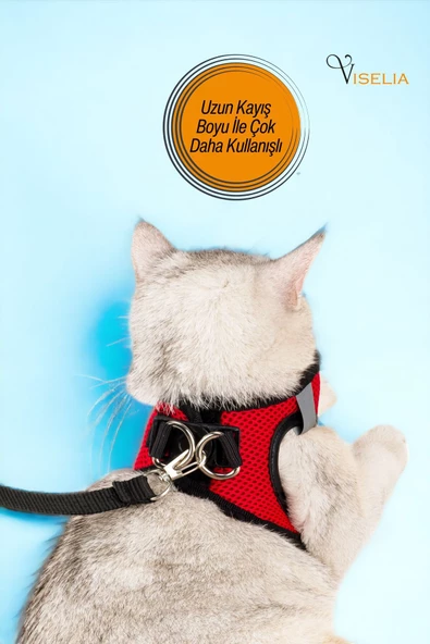 Viselia Kedi Tasması Göğüs Boyun Tasma Sevk Kayışlı Terletmeyen Nefes Alan Kumaş Reflektörlü Kırmızı M Beden - Resim 4