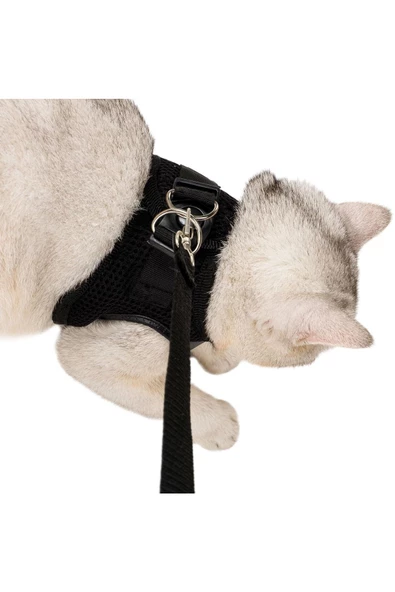Pandogo Siyah Kedi Tasması M Beden Sevk Kayışlı Terletmeyen Nefes Alan Reflektörlü Paris - Resim 3