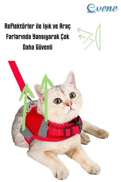 Evene Kedi Tasması Göğüs Boyun Tasma Seti Sevk Kayışlı Terletmeyen Nefes Alan Reflektörlü Tasma S Kırmızı - 6