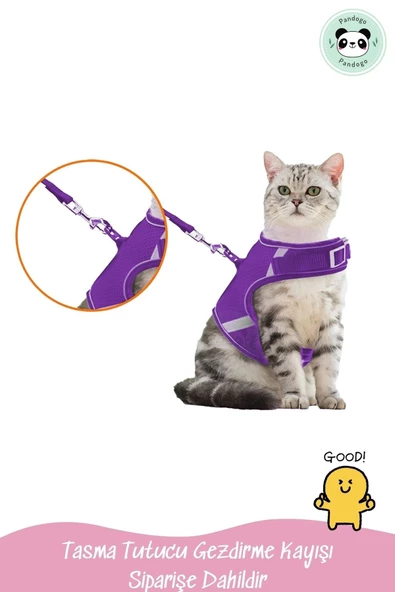 Pandogo Kedi Tasması Göğüs Gezdirme Tasması Uzun Sevk Kayışlı Mor M Beden - Resim 5