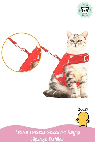 Pandogo Kedi Tasması Göğüs Gezdirme Tasması Uzun Sevk Kayışlı S Beden - 5