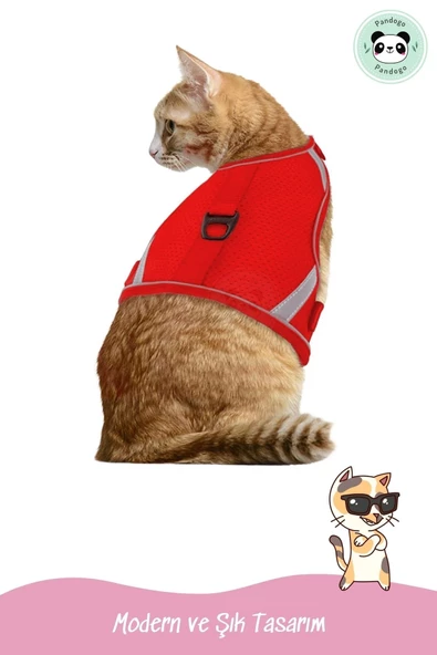 Pandogo Kedi Tasması Göğüs Gezdirme Tasması Uzun Sevk Kayışlı S Beden - 6