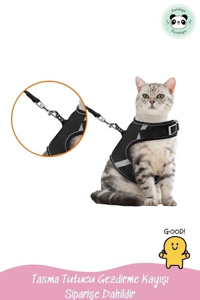 Pandogo Kedi Tasması Göğüs Gezdirme Tasması Uzun Sevk Kayışlı Siyah L Beden - 5