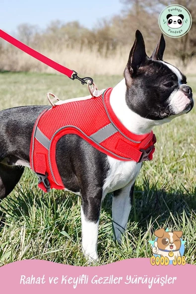 Pandogo Kedi Tasması Göğüs Gezdirme Tasması Uzun Sevk Kayışlı S Beden - 8