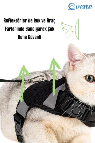 Evene Kedi Tasması Göğüs Boyun Tasma Seti Sevk Kayışlı Terletmeyen Nefes Alan Reflektörlü Tasma L Siyah - Resim 4
