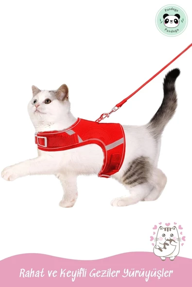 Pandogo Kedi Tasması Göğüs Gezdirme Tasması Uzun Sevk Kayışlı S Beden - 7