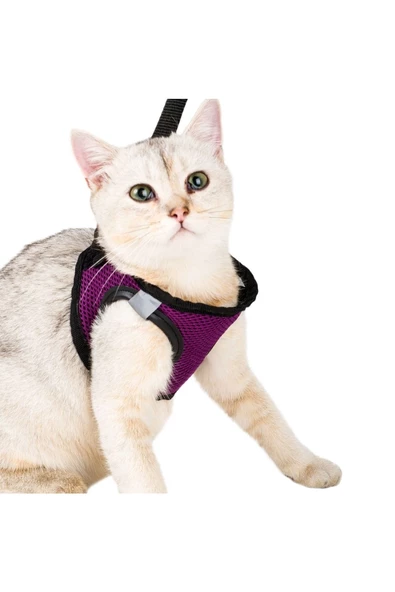 Evene Mor Kedi Tasması L Beden Göğüs Boyun Tasma Seti Sevk Kayışlı Terletmeyen Nefes Alan Kumaş Reflektör - 2