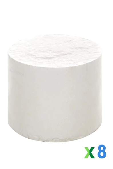 Evene Nem Alıcı Yedek Tablet 450 gr 8 Adet
