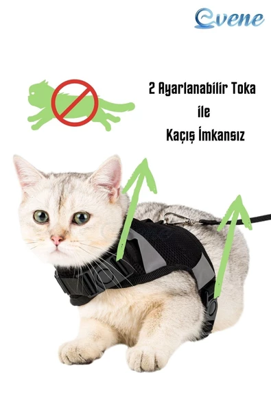 Evene Kedi Tasması Göğüs Boyun Tasma Seti Sevk Kayışlı Terletmeyen Nefes Alan Reflektörlü Tasma L Siyah - Resim 3