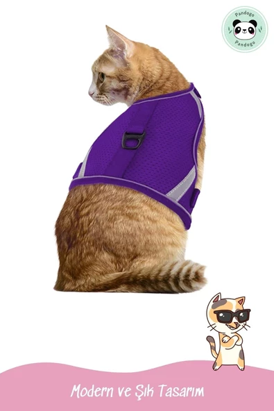 Pandogo Kedi Tasması Göğüs Gezdirme Tasması Uzun Sevk Kayışlı Mor M Beden - Resim 6