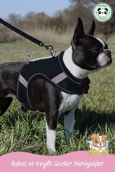 Pandogo Kedi Tasması Göğüs Gezdirme Tasması Uzun Sevk Kayışlı Siyah L Beden - Resim 8