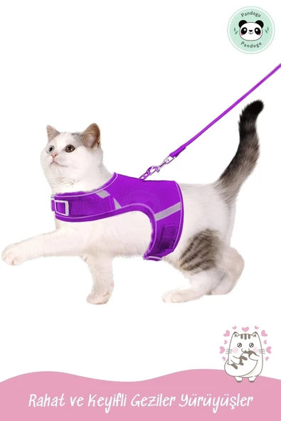 Pandogo Kedi Tasması Göğüs Gezdirme Tasması Uzun Sevk Kayışlı Mor M Beden - Resim 7