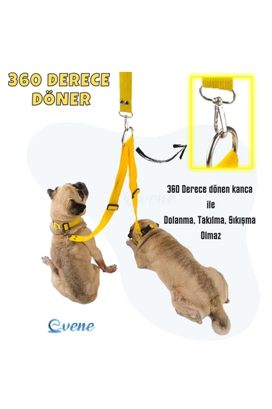 Pandogo Kedi Köpek Çiftli Gezdirme Tasması Sarı Çoklu Tasma Premium Kalite Model Amsterdam - Resim 5