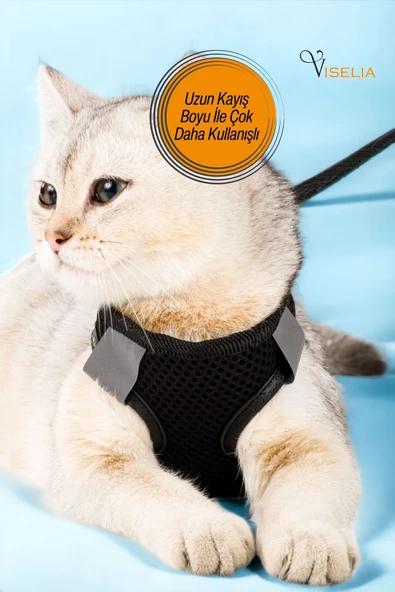 Viselia Siyah Kedi Tasması S Beden Sevk Kayışlı Terletmeyen Nefes Alan Reflektörlü Paris - Resim 4