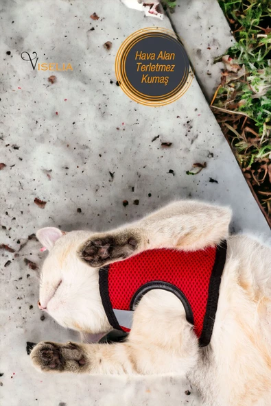 Viselia Kedi Tasması Göğüs Boyun Tasma Sevk Kayışlı Terletmeyen Nefes Alan Kumaş Reflektörlü Kırmızı M Beden - Resim 5