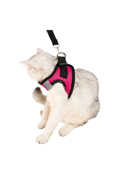 Evene Pembe Kedi Tasması L Beden Göğüs Boyun Tasma Seti Sevk Kayışlı Terletmeyen Nefes Alan Reflektör - Resim 2