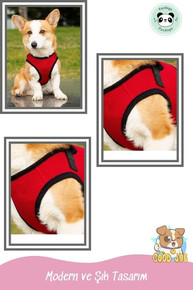 Pandogo Kedi Köpek Tasması Reflektörlü Fileli Hava Alan Kumaş Sevk Kayışlı Kedi Gezdirme Tasması Pembe M - Resim 5