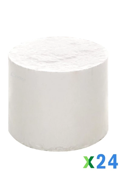 Evene Nem Alıcı Yedek Tablet 450 gr 24 Adet