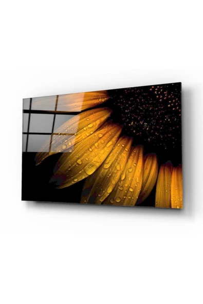 Papatya Ve Yağmur Damlası Dekoratif ve Modern Cam Tablo ürün görseli