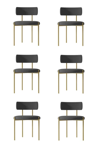 AVVİO Vista Mat Gold 6 'lI Yemek Odası Mutfak Masası  Cafe Restorant Sandalyesi (TEDDY SANDALYE)