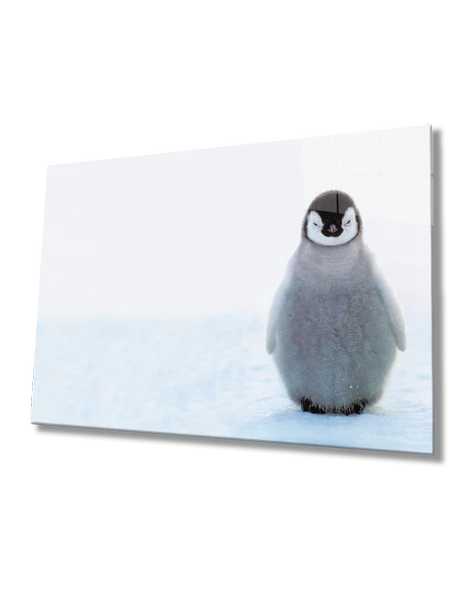 Penguen Dekoratif ve Modern Cam Tablo   Penguin Table
