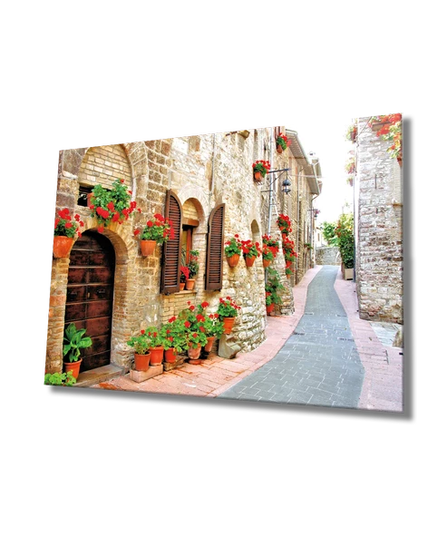 Çiçekli Sokak Dekoratif ve Modern Cam Tablo Flower Streets