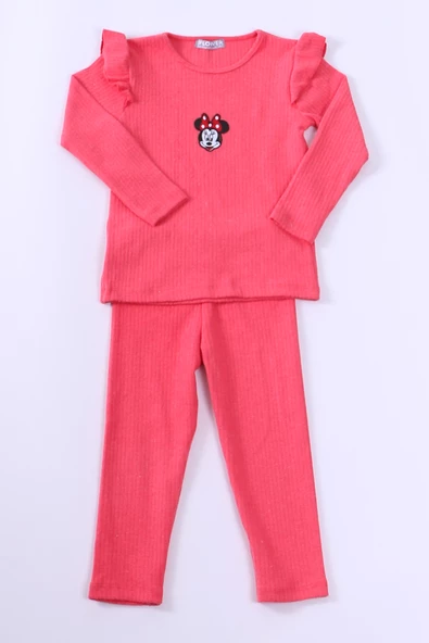 KIZ ÇOCUK TRİKO TAKIM KARAKTER NAKIŞLI KOLLARI FIRFIRLI E25 - Resim 12