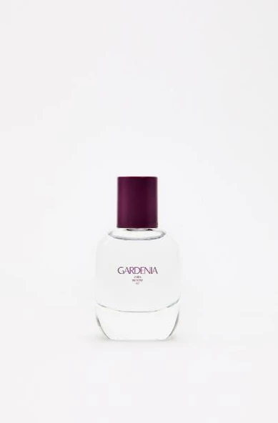 ZARA GARDENIA 30 ML - 2