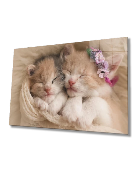 Kediler Dekoratif ve Modern Cam Tablo   Cats Table
