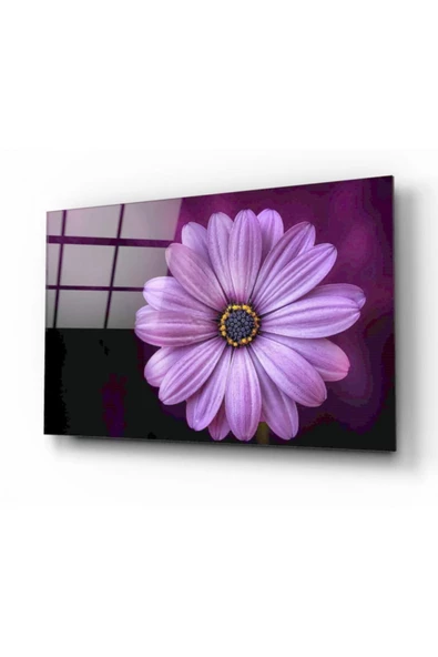 Papatya Dekoratif ve Modern Cam Tablo ürün görseli 1