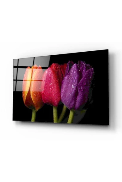 Laleler Dekoratif ve Modern Cam Tablo