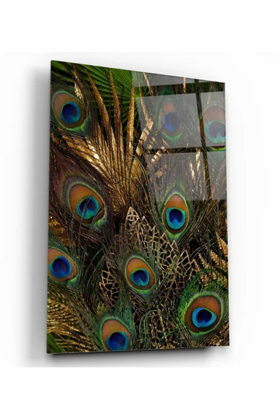 Tavuskuşu Dekoratif ve Modern Cam Tablo ürün görseli