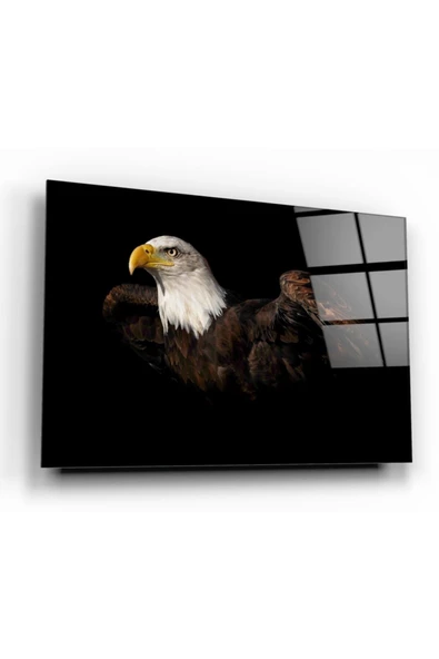 Kartal Dekoratif ve Modern Cam Tablo